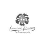 aposentos-flowers