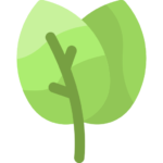 Cuidado AMBIENTAL