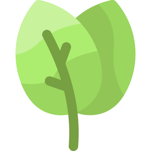 Cuidado AMBIENTAL